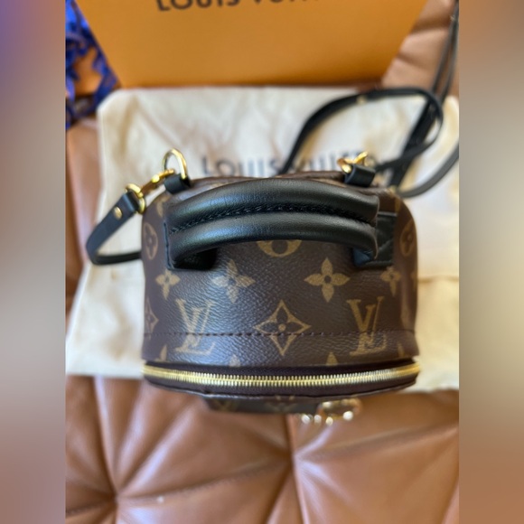 Louis Vuitton Palm Springs Mini - Picture 12 of 12